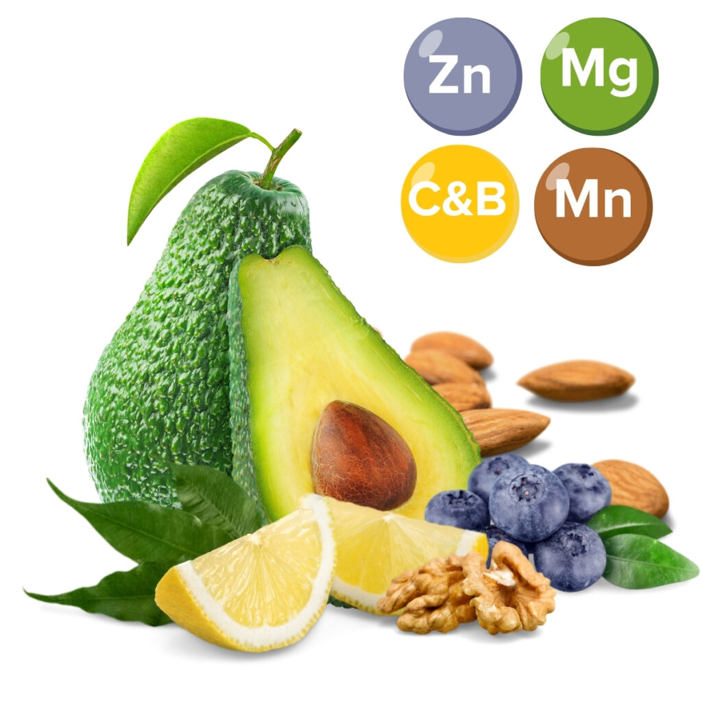 QINEVA Curcumin Complex Avocado