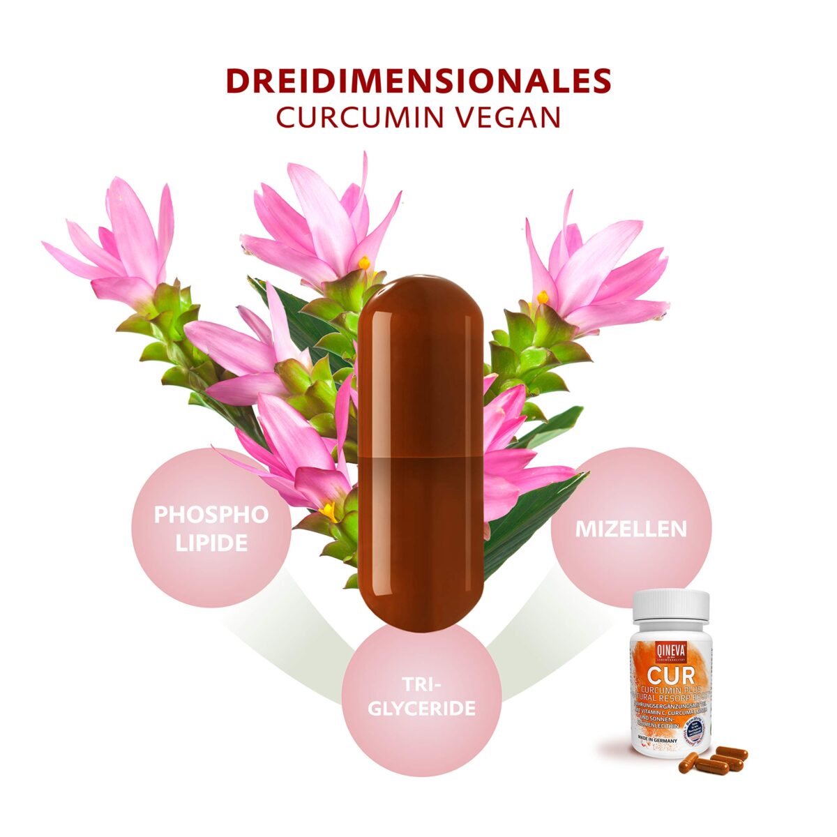 QINEVA® Curcumin Vegan