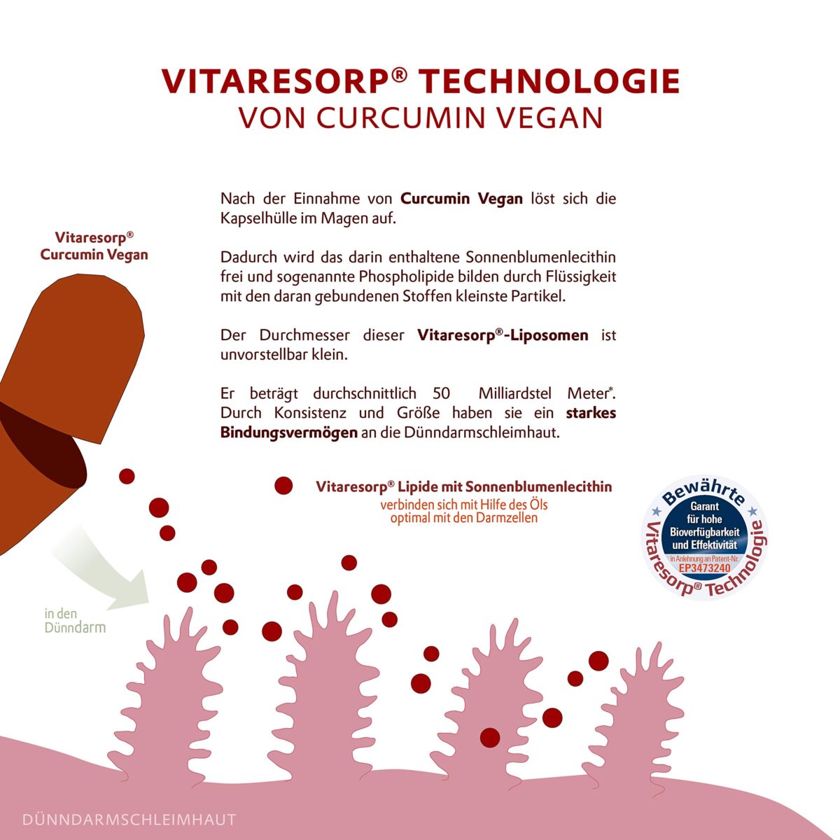 QINEVA® Curcumin Vegan