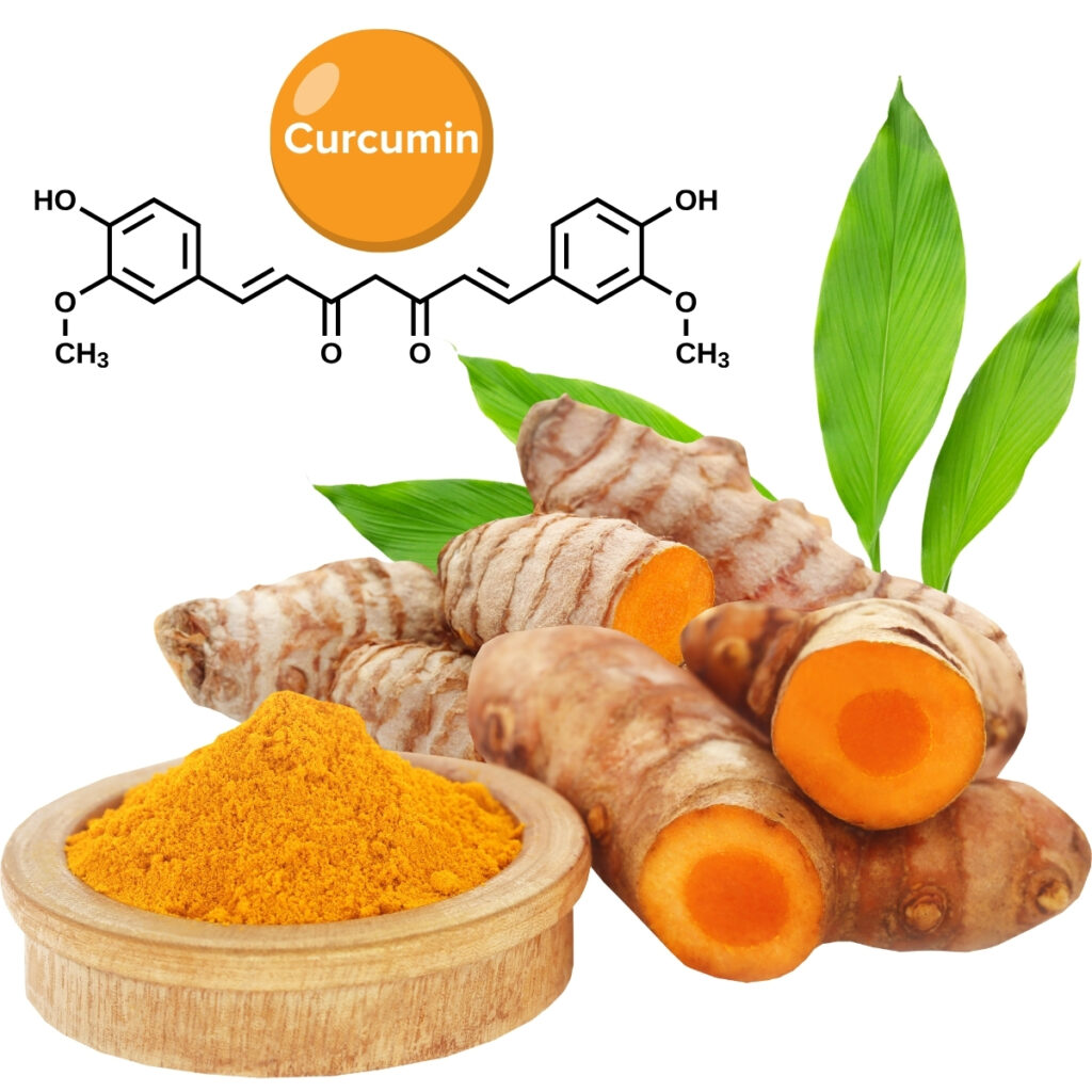 liposomales Curcumin Complex Vegan