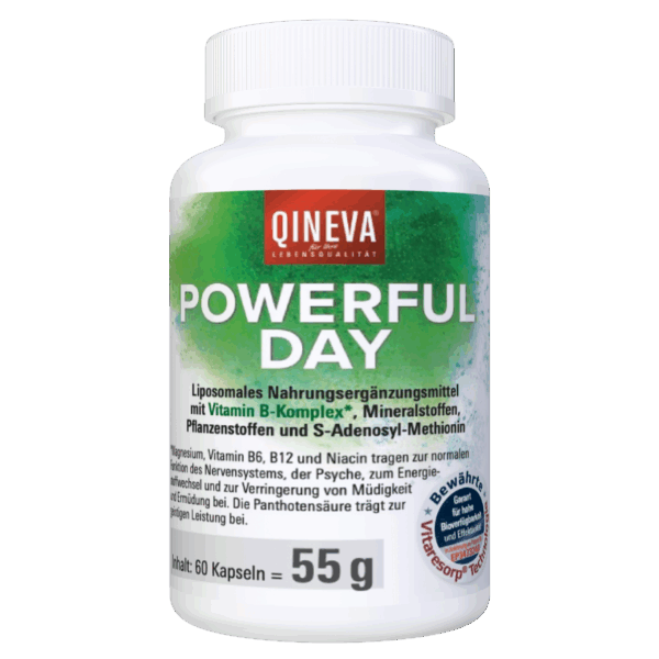 Qineva - Powerful Day Verpackung